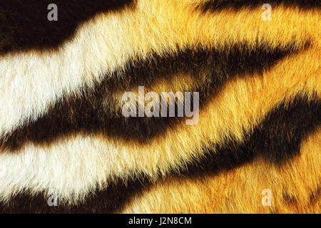 Dettaglio di tiger fur texture pronto per il tuo design, bella strisce nere Foto Stock