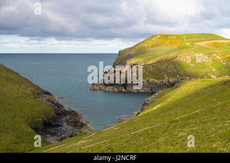 Vedute della costa a Port Quin in North Cornwall Foto Stock