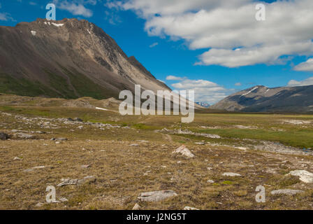 Wilcox picco e Wilcox Pass, si trova nel Parco Nazionale di Jasper, Alberta, Canada Foto Stock