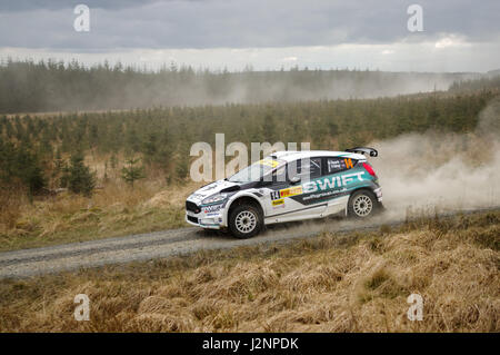 Wark, Regno Unito - 29 Aprile 2017: Rally Car prendendo parte alla Pirelli International Rally 2017 (BRC sezione). Autista Matt Edwards e Co-Driver Darren Garrod in una Ford Fiesta. Credito: ColobusYeti/Alamy Live News. Foto Stock