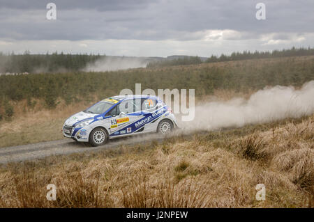 Wark, Regno Unito - 29 Aprile 2017: Rally Car prendendo parte alla Pirelli International Rally 2017 (BRC sezione). Autista Meirion Evans e Co-Driver Jonathan Jackson in una Peugeot 208 R2. Credito: ColobusYeti/Alamy Live News. Foto Stock