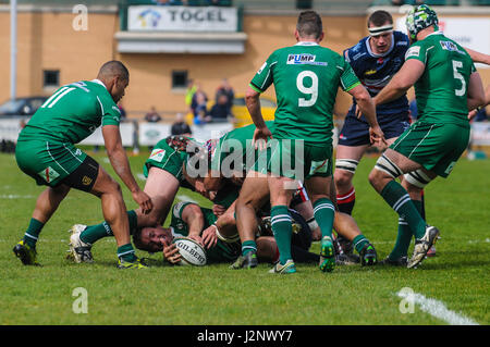 Doncaster, Regno Unito. 30 apr, 2017. London Irish insieme u un ruck. Doncaster Knights v London Irish nel Green King IPA Campionato Play Off prima gamba al parco del castello, 30/04/2017 KO 2:45pm. Credito: Stephen Buckley/Alamy Live News Foto Stock