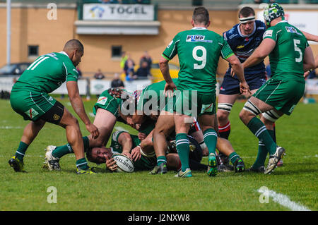 Doncaster, Regno Unito. 30 apr, 2017. London Irish insieme u un ruck. Doncaster Knights v London Irish nel Green King IPA Campionato Play Off prima gamba al parco del castello, 30/04/2017 KO 2:45pm. Credito: Stephen Buckley/Alamy Live News Foto Stock