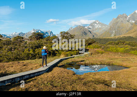 Escursionista su una passerella Hochmoor, Bergseen e Ailsa montagne, Vertice chiave via, Parco Nazionale di Fiordland Southland, Regione Foto Stock