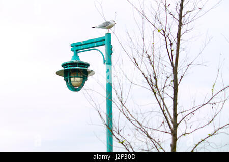 Bellissimo rustico esterno lanterna Foto Stock