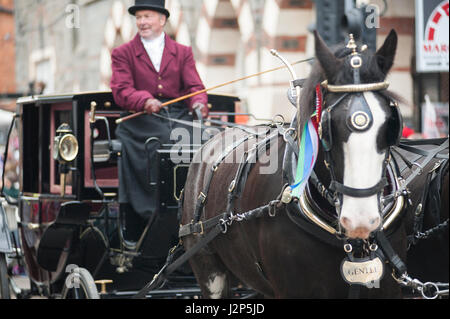 Stalloni e vincere i proprietari verso il basso di carica cardigan high street a questo anni parade di stalloni evento in cardigan west wales Foto Stock