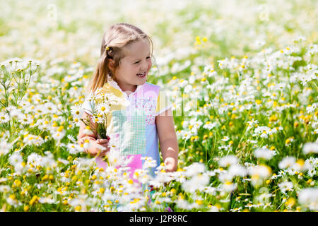 Bambini che giocano nel campo a margherita. Ragazza picking fiori freschi in margherite sul prato soleggiato giorno d'estate. Bambini a giocare all'aperto. Ai bambini di esplorare la natura. Poco gi Foto Stock