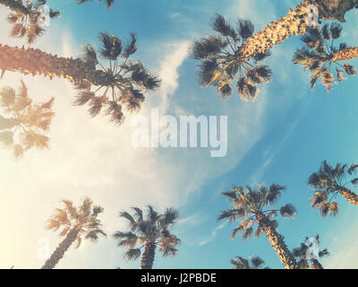 Bellissimo tramonto tropicale con palme in spiaggia Foto Stock