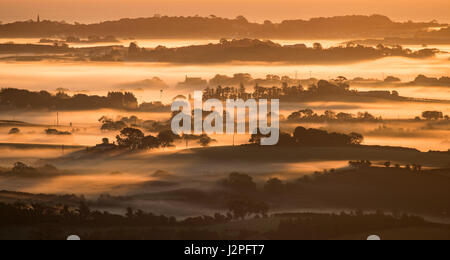 Visto dal punto di osservazione del Scrabo Tower presso la testa di Strangford Lough, il sorgere del sole illumina la nebbia il rotolamento sulle dolci ondulazioni o Foto Stock