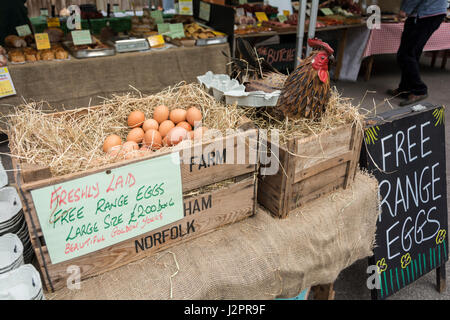 Free Range uova presso il locale mercato agricolo Foto Stock