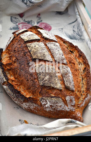 Una pagnotta di pane artigianale in una rustica tradizionale panetteria. Foto Stock