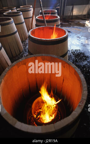 Botte di quercia del vino & fuoco che fa al Louis Jadot / Cadus il calore di cooperage dal fuoco permette che le doghe del barile inumidite siano piegate nella figura. Ladoix-Serrigny, Côte d'Or, Francia Foto Stock