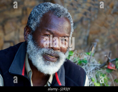 Ritratto di un bel barbuto uomo nero Knysna Garden Route del Sud Africa Foto Stock