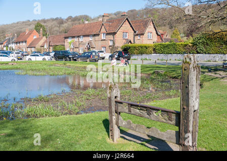 Antica di scorte da laghetto, Aldbury, Hertfordshire, England, Regno Unito Foto Stock