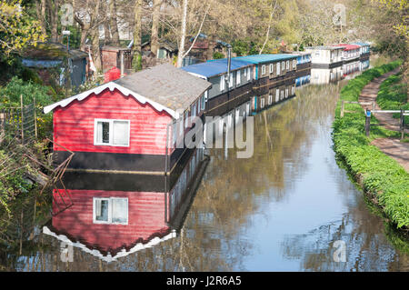 Case galleggianti sul Basingstoke Canal, West Byfleet, Surrey, England, Regno Unito Foto Stock