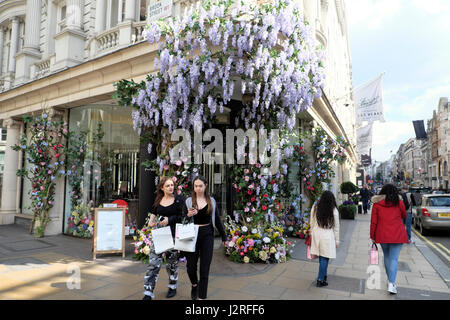 Fiori artificiali con glicine salutano i clienti in primavera fuori dai grandi magazzini di Fenwick a Brook St e New Bond Street, Londra UK KATHY DEWITT Foto Stock