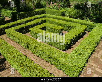 Spirale quadrata della casella yew hedging con blocco lastricatore percorso, Barnsdale Gardens, Oakham, Rutland, Leicestershire, England, Regno Unito Foto Stock