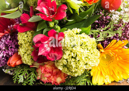 Sfondo floreale, fiori di primavera. Foto Stock