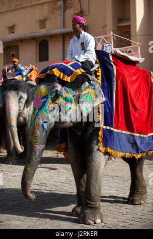 Gli elefanti ed i loro Mahouts in attesa di prelevare i turisti e li portano fino al forte di Amber a Jaipur nel Rajasthan, India. Foto Stock