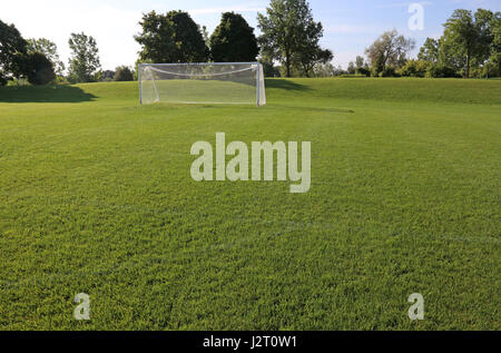 Una vista di una rete su un vacante soccer pitch nella luce del mattino. Foto Stock