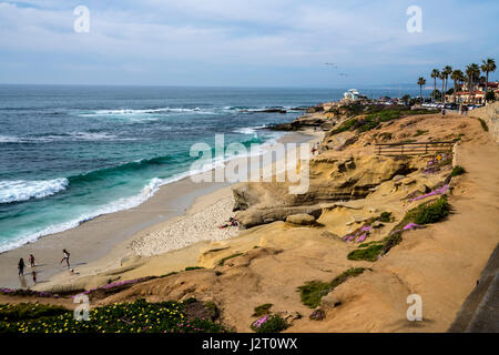 La Jolla Cal9ifornia spiaggia vita e stazione di guardia Foto Stock