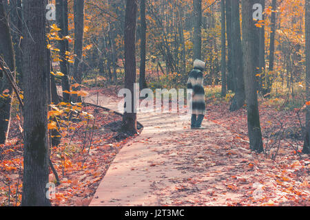 Scary figura nel mantello nero nella foresta, dissaturato immagine Foto Stock