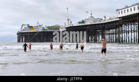 Brighton, Regno Unito. Il 1 maggio, 2017. Nuotatori da Brighton Nuoto Club godono di un inizio di mattina dip sul giorno di maggio Bank Holiday nonostante la fresca breezy meteo . La previsione è per una miscela di sole e di docce a sud della UK Credit: Simon Dack/Alamy Live News Foto Stock