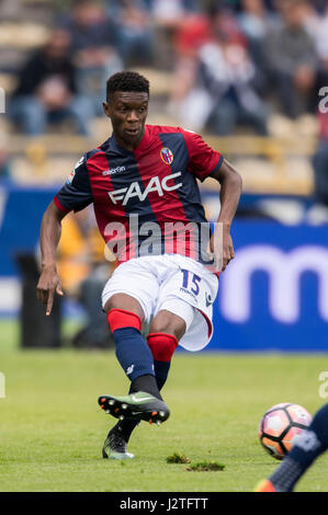 Bologna, Italia. 30 apr, 2017. Ibrahima Mbaye (Bologna) Calcio/Calcetto : Italiano 'Serie A' match tra Bologna FC Udinese 4-0 a Stadio Renato Dall'Ara di Bologna, in Italia . Credito: Maurizio Borsari/AFLO/Alamy Live News Foto Stock