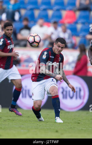 Bologna, Italia. 30 apr, 2017. Federico Viviani (Bologna) Calcio/Calcetto : Italiano 'Serie A' match tra Bologna FC Udinese 4-0 a Stadio Renato Dall'Ara di Bologna, in Italia . Credito: Maurizio Borsari/AFLO/Alamy Live News Foto Stock