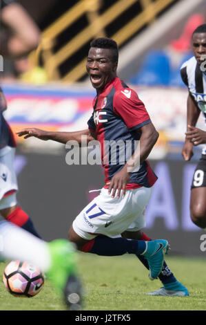 Bologna, Italia. 30 apr, 2017. Godfred Donsah (Bologna) Calcio/Calcetto : Italiano 'Serie A' match tra Bologna FC Udinese 4-0 a Stadio Renato Dall'Ara di Bologna, in Italia . Credito: Maurizio Borsari/AFLO/Alamy Live News Foto Stock