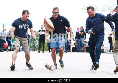 Stilton, Cambridgeshire, Regno Unito. 01 Maggio, 2017. Stilton sombrero il team in azione. Le vacanze di Maggio e formaggio in rotolamento Stilton, Cambridgeshire. Il formaggio a concorrenza di laminazione è un giorno di maggio lunedì festivo tradizione e rullo di concorrenti dei blocchi di legno lungo la strada principale al posto del formaggio Stilton che ha preso il suo nome dal villaggio. Formaggio la laminazione . Stilton, Cambridgeshire, Regno Unito . 01.05.2017 Credito: Paolo Marriott/Alamy Live News Foto Stock