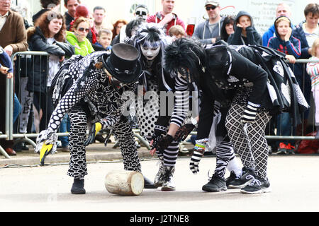 Stilton, Cambridgeshire, Regno Unito. 01 Maggio, 2017. Il maiale Dyke Molly il team in azione. Le vacanze di Maggio e formaggio in rotolamento Stilton, Cambridgeshire. Il formaggio a concorrenza di laminazione è un giorno di maggio lunedì festivo tradizione e rullo di concorrenti dei blocchi di legno lungo la strada principale al posto del formaggio Stilton che ha preso il suo nome dal villaggio. Formaggio la laminazione . Stilton, Cambridgeshire, Regno Unito . 01.05.2017 Credito: Paolo Marriott/Alamy Live News Foto Stock