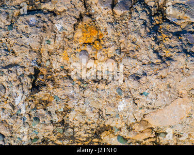 Molto interessante la texture di un antica pietra vicino al mare Foto Stock