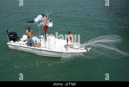 La pesca di queste esche utilizzando un cast net sul Golfo del Messico nella Florida meridionale Foto Stock