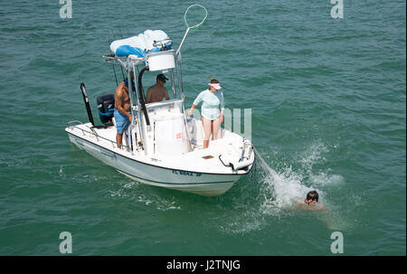 Un giovane uomo la pesca di queste esche utilizzando un cast net cade dalla barca con il net.Golfo del Messico Sud della Florida USA 2017 Foto Stock