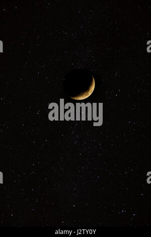 Falce di luna Foto Stock