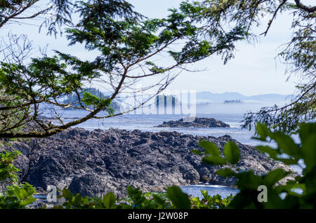 Ucluelet costa, Vancover Island, British Colmbia Canada Foto Stock