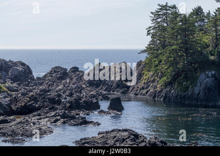 Ucluelet costa, Vancover Island, British Colmbia Canada Foto Stock