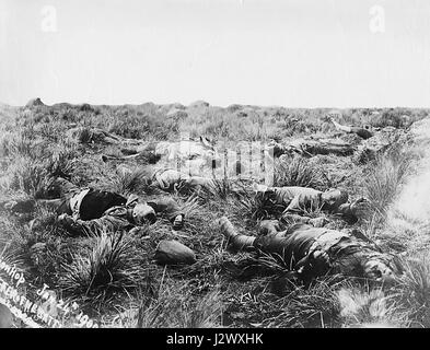 Un riferimento alle perdite britanniche nella battaglia di Spionkop nel 1900 durante la seconda guerra anglo-boera. Questo evento storico fu segnato da pesanti perdite e significative azioni militari. Foto Stock