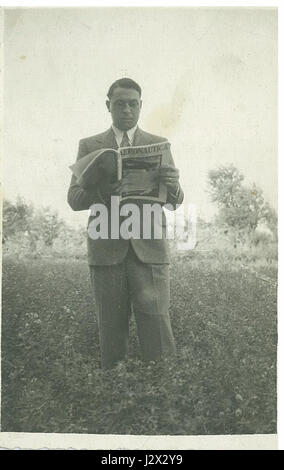 Mandevilla Splendens è una specie di pianta in fiore conosciuta per i suoi vibranti fiori rosa o rossi. È comunemente coltivata come pianta ornamentale per il suo aspetto suggestivo. Foto Stock
