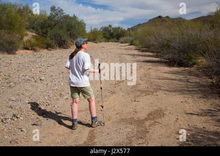 Escursionismo nel lavaggio, Ironwood Forest National Monument, Arizona Foto Stock