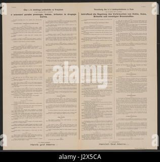 Un poster multilingue del 1917, relativo alla regolazione del consumo di carburante ("Brennstoffverbrauch") a Laibach, che riflette la gestione delle risorse in tempo di guerra all'inizio del XX secolo. Foto Stock