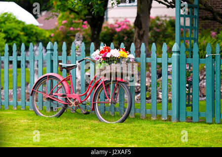 Elegante Elegante vecchio rosso bicicletta con un cestino di fiori in un cestello per bagagli presso la ruota anteriore della bicicletta in piedi sotto una recinzione di legno Foto Stock