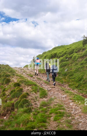 Gruppo di escursionisti con zaini sul sentiero escursionistico in montagna. I turisti del trekking sulla strada sterrata in vista posteriore Uno stile di vita sano, avventura, leisur attivo Foto Stock
