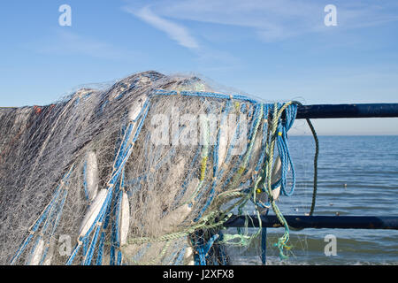 Reti da pesca del Regno Unito di essiccazione Foto Stock