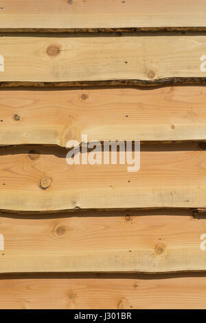 Le scandole in legno parete (effettivamente un ufficio esterno). Foto Stock