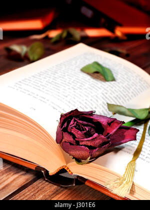 Una red rose appassite attraverso le pagine di un vecchio libro ingiallito dal tempo su un vecchio tavolo di legno. Foto Stock