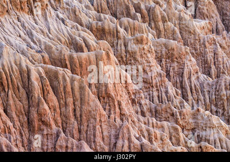 Primo piano modello di torrey pine arenaria erose scogliere sulla costa a La Jolla da San Diego Foto Stock