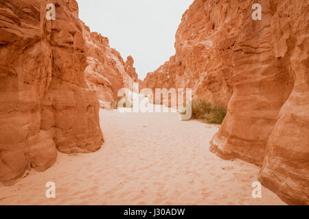 Canyon Bianco Penisola del Sinai, Egitto Foto Stock