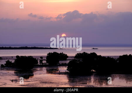 Mangrovie al tramonto sull'isola di Ibo, una delle isole dell'arcipelago di Quirimbas nell'Oceano Indiano al largo dell'Africa settentrionale del Mozambico Foto Stock